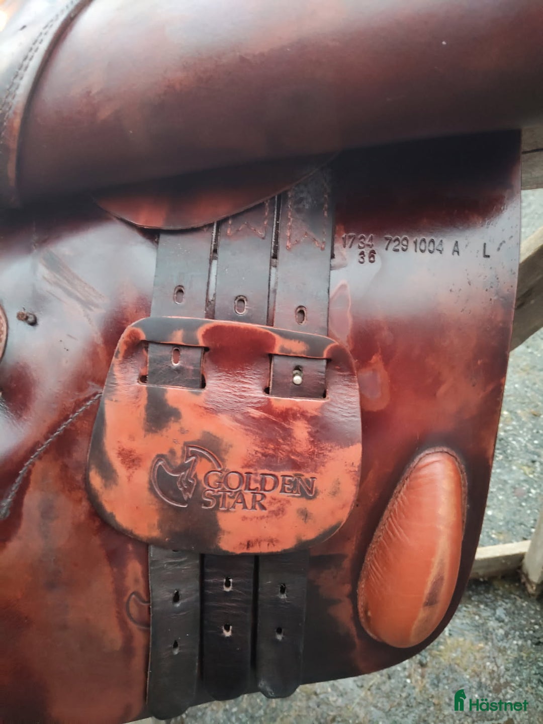 Sadlar hästutrustning till salu: Prestige Golden star  i Vännäsby - Annons 4