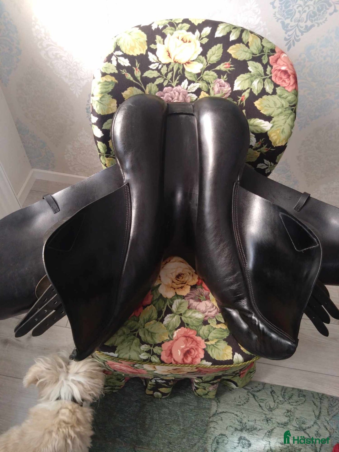 Sadlar hästutrustning till salu: Kvalitetssadel Morris and Noland i Göteborg - Annons 6