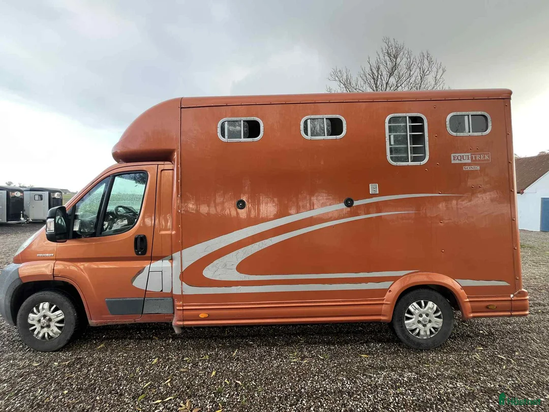 Hästlastbilar  fordon & transport till salu: Fin 3-sitsig hästlastbil med säkerhetslösning i Löderup - Annons 2