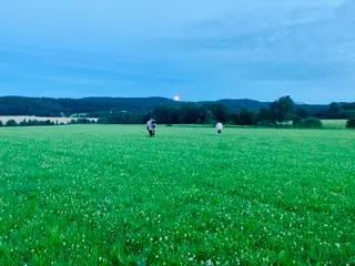 hästar Tryggt halvblod till det bästa av hästliv - Annons 8