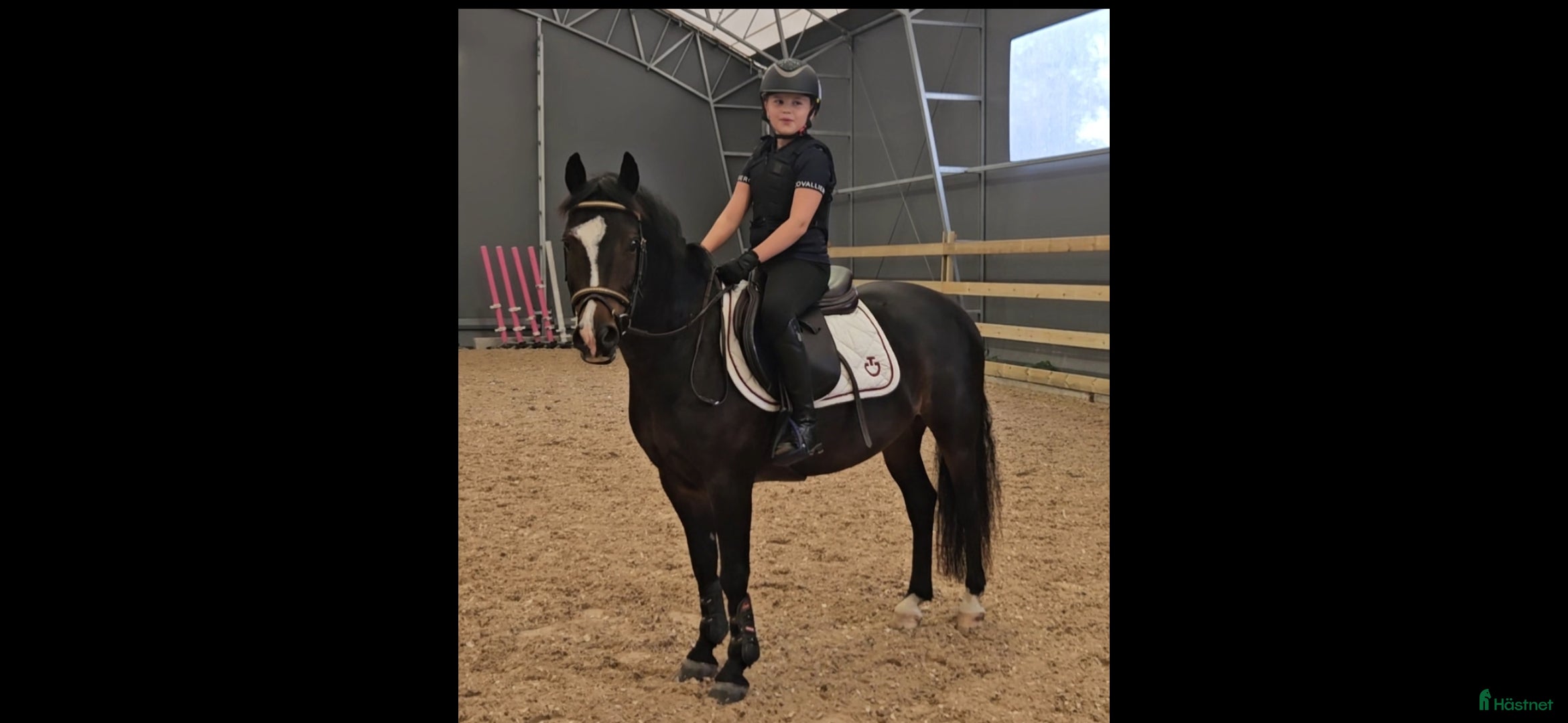  hästar B-ponny med stor potential ⭐️ - Annons 19