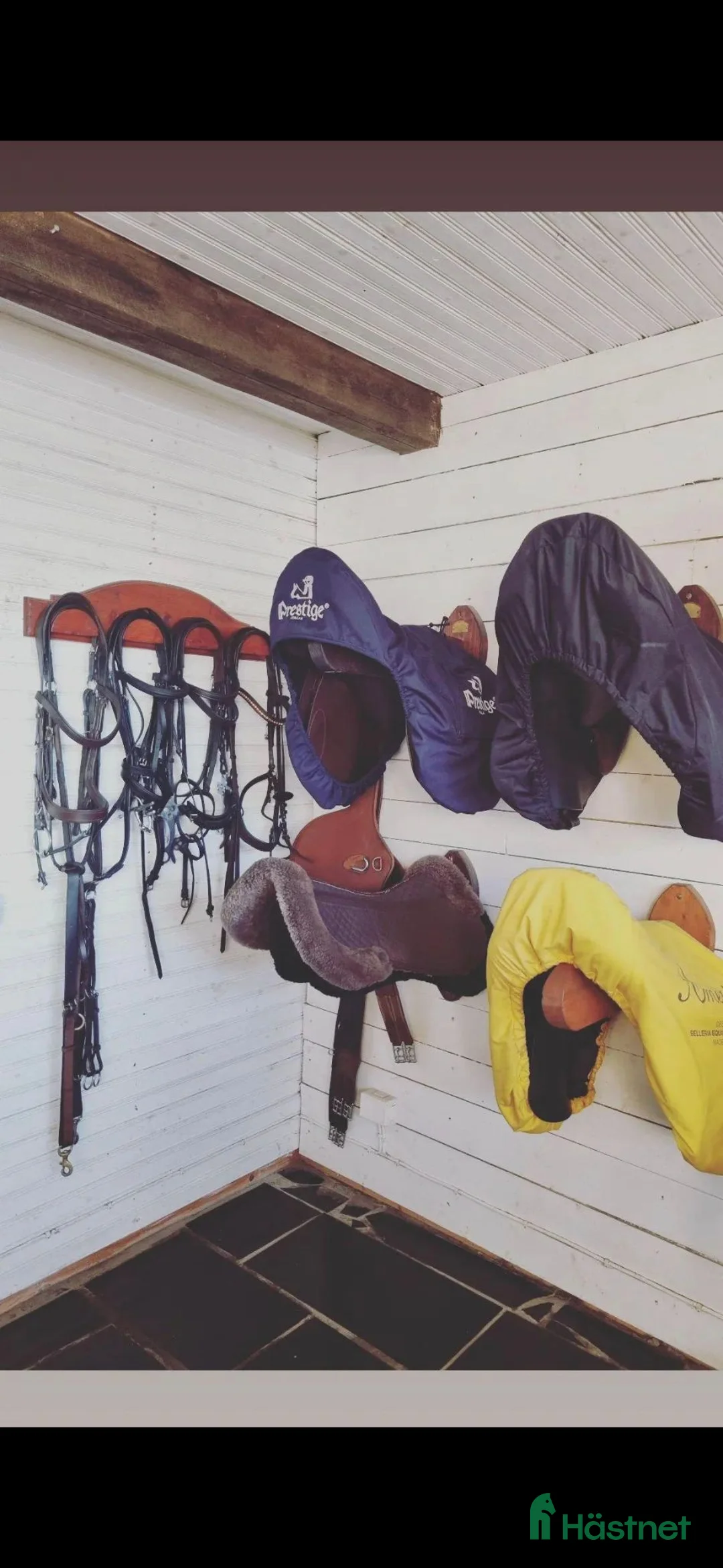  stallplats finnes: Stallplatser lediga  - Annons 7