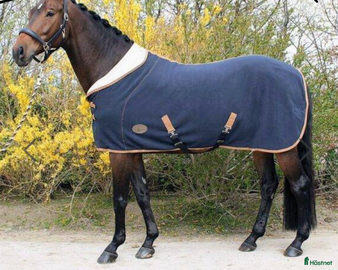 Täcken hästutrustning till salu: Teddy fleece täcke med 1/2 hals i Åmotfors - Annons 1