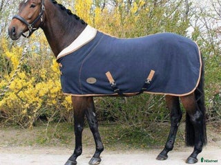 Täcken hästutrustning till salu: Teddy fleece täcke med 1/2 hals i Åmotfors - Annons 3