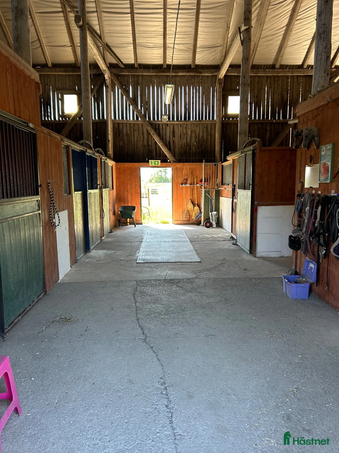  stallplats finnes: Lösdrift islandsto i Enköping - Annons 2