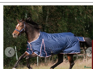 Täcken hästutrustning till salu: Regntäcke Tornado 50g Fairfield strl 135 i Hägersten - Annons 9