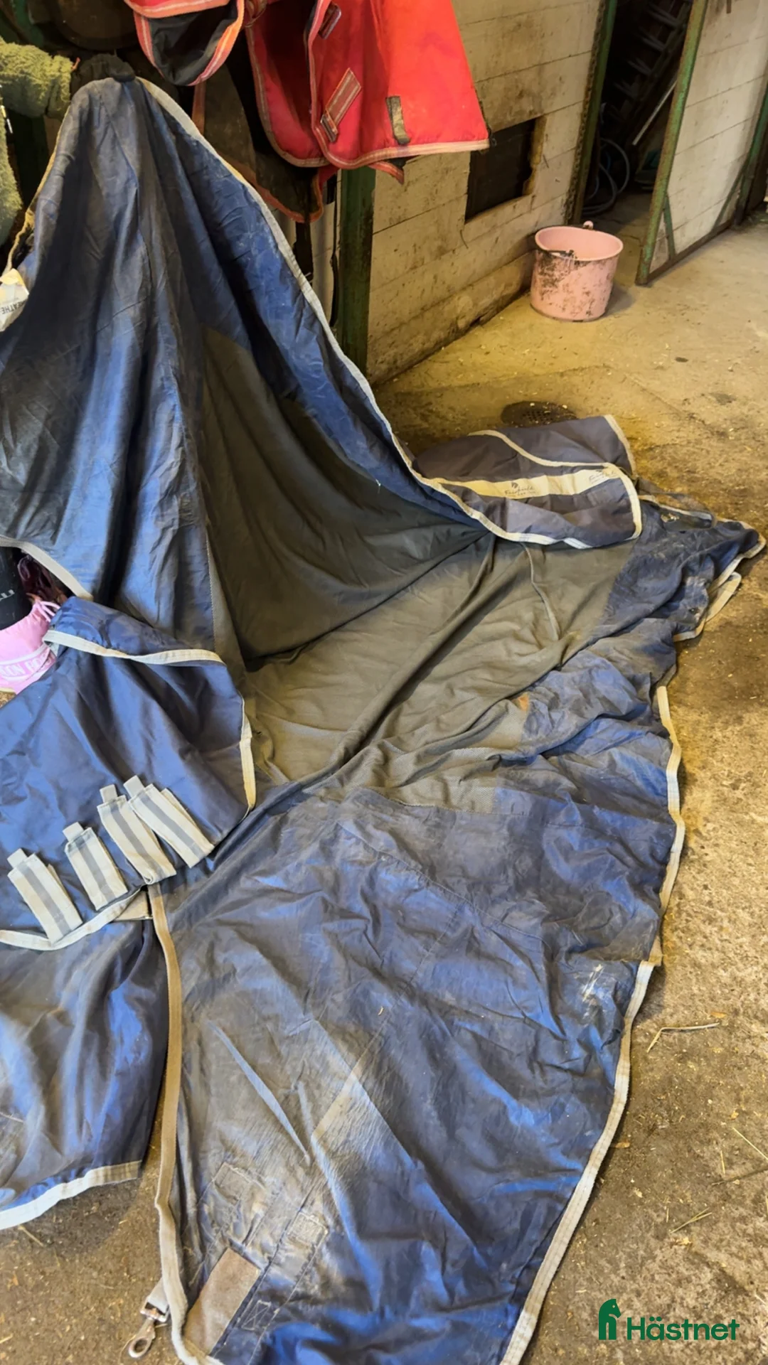 Täcken hästutrustning till salu: Blått rägntäcke - Annons 2