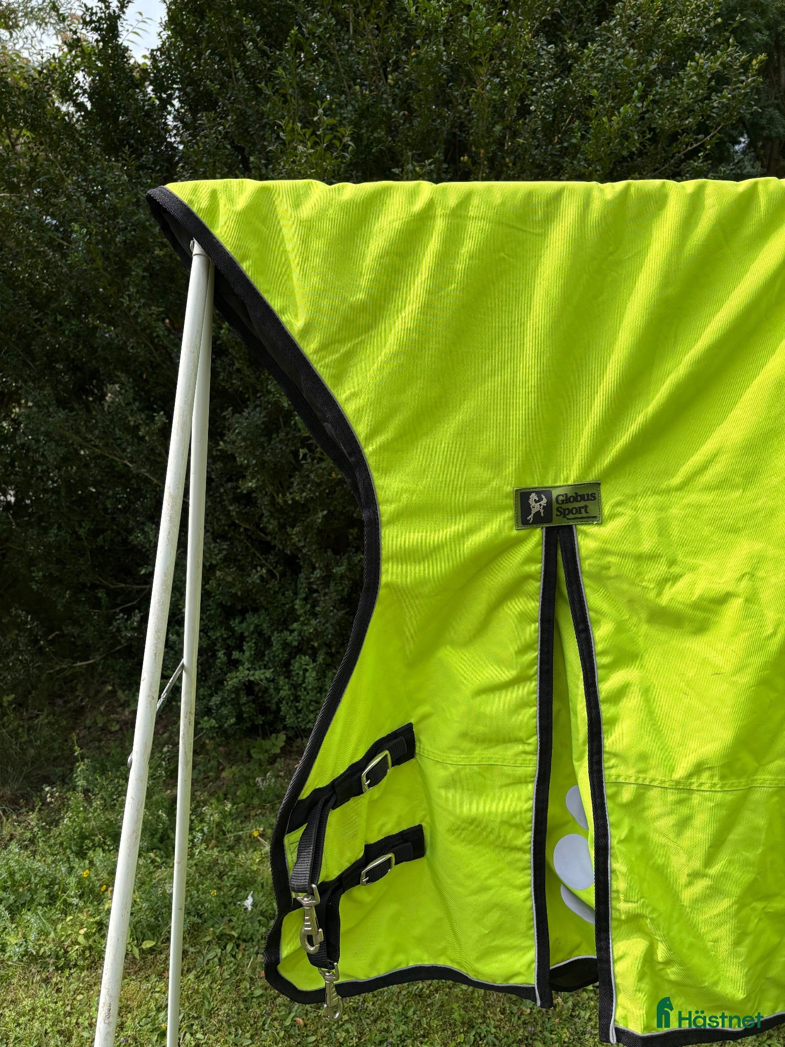 Täcken hästutrustning Reflextäcke 100 g, 165, Globus Sport - Annons 11