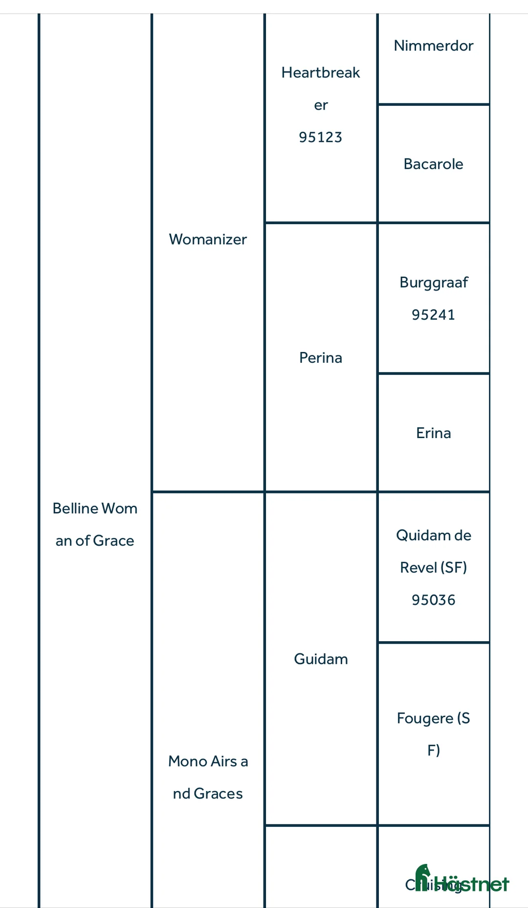 Allround hästar till salu: Vackert sto - Annons 3