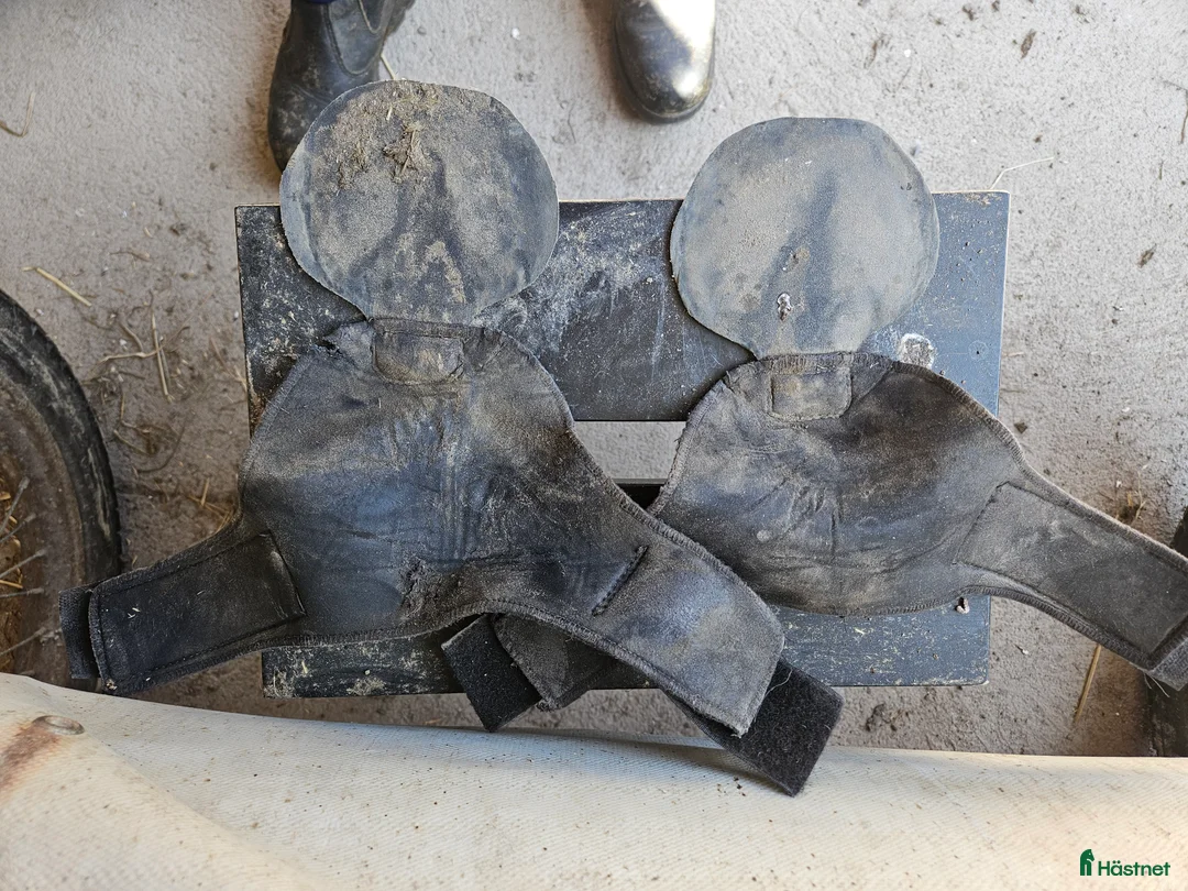 Övrig Hästutrustning hästutrustning till salu: Scootboots regular i Karlsborg - Annons 7