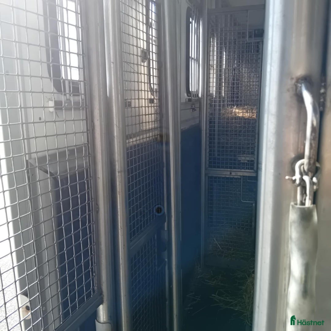 Hästlastbilar  fordon & transport till salu: Scania med flexibel inredning  i Teckomatorp - Annons 9