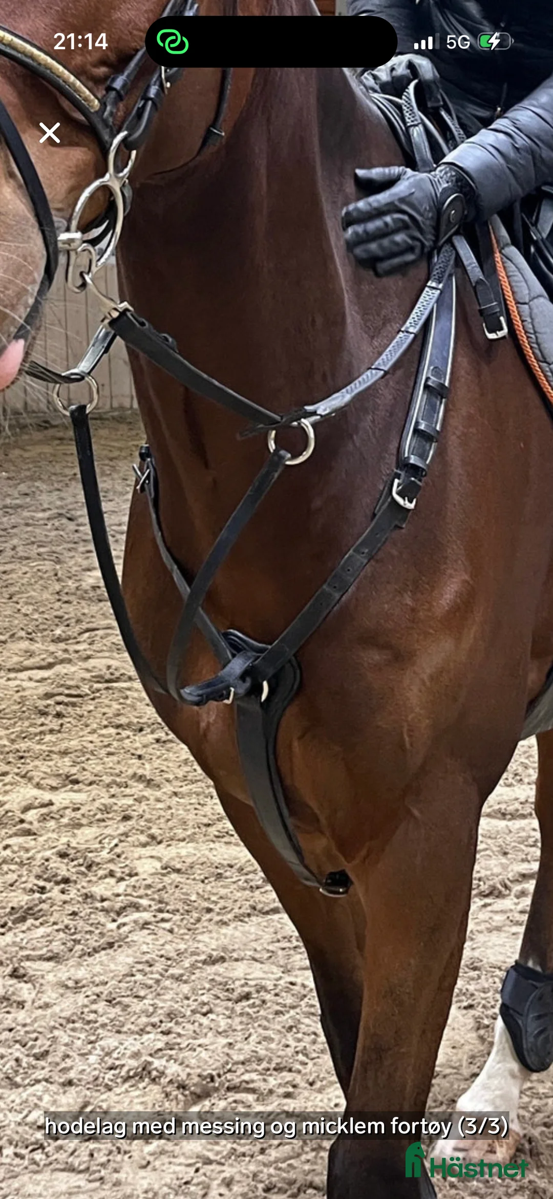 Övrig Hästutrustning hästutrustning till salu: Micklem fortøy i Alvdal - Annons 2