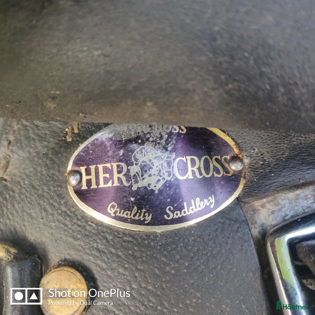 Sadlar hästutrustning till salu: Allround Sadel i Österbybruk - Annons 5