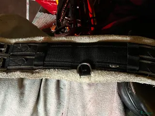 Sadeltillbehör hästutrustning Dressyrgjord 50cm i Hörby - Annons 24