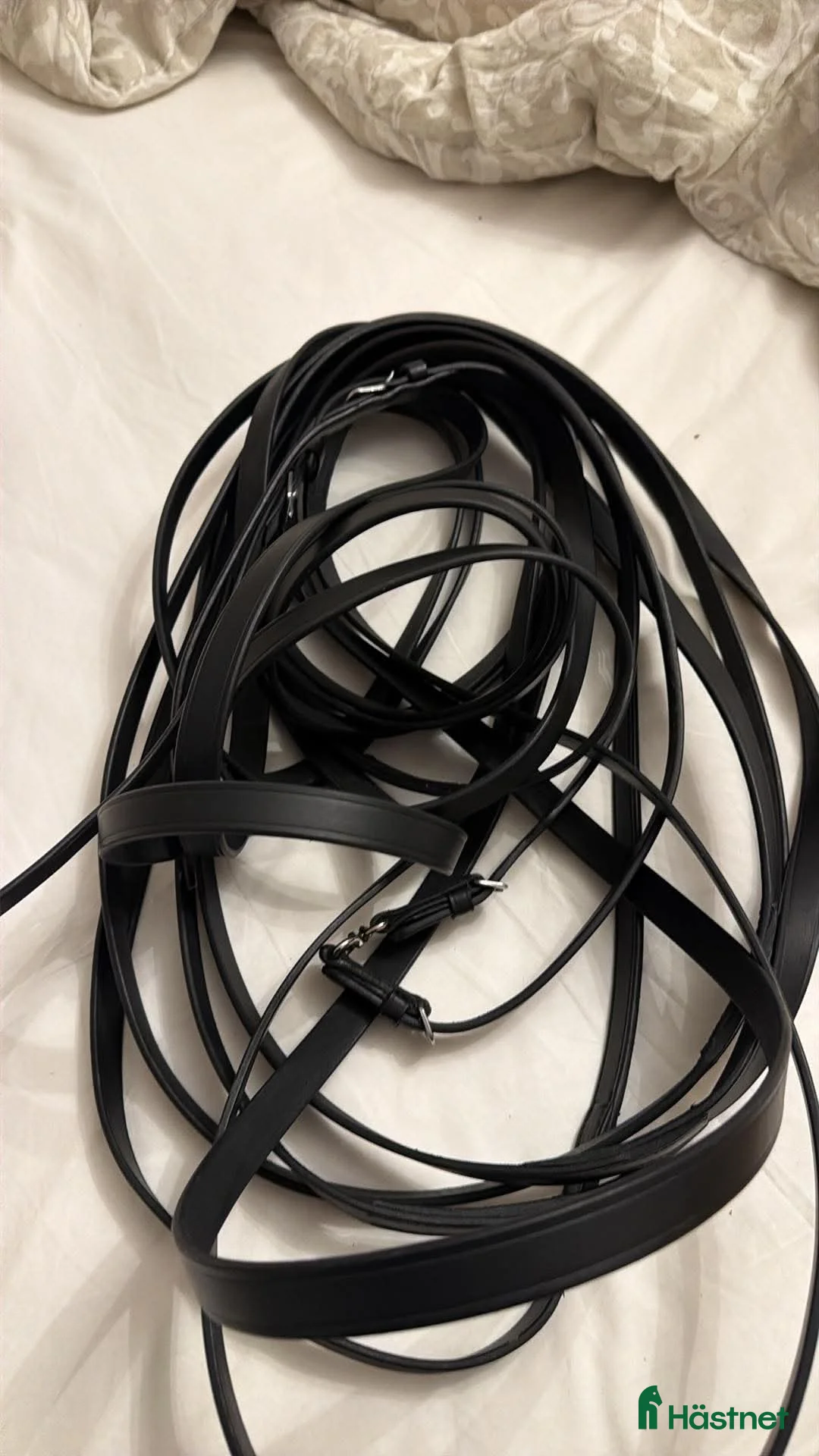 Övrig Hästutrustning hästutrustning till salu: Tömmar i läder 16 m - Annons 1