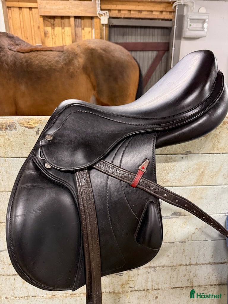 Sadlar hästutrustning Equipe Rarity 15.5 tum - Annons 1