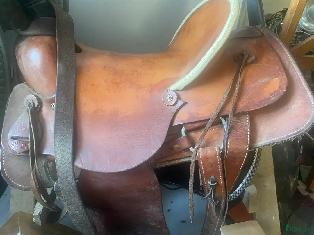 Sadlar hästutrustning till salu: Ranch sadel i Vessigebro - Annons 1