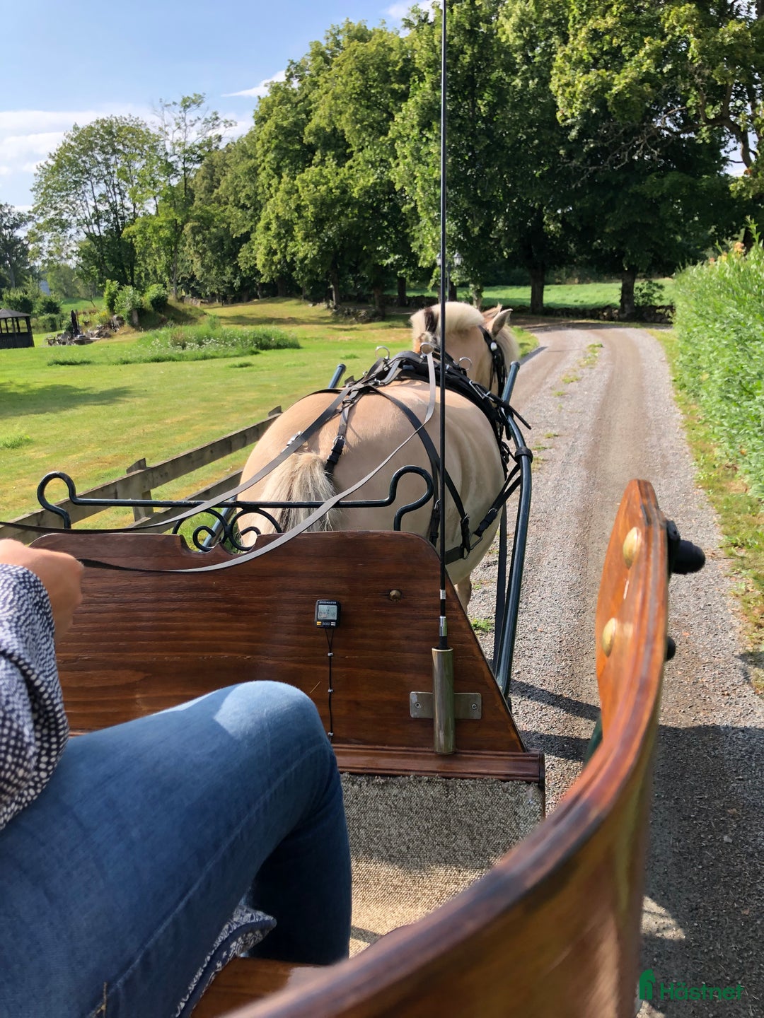 Körvagnar körning till salu: Fin bekväm vagn m många sittplatser, enbet & par i Kalvsvik - Annons 3