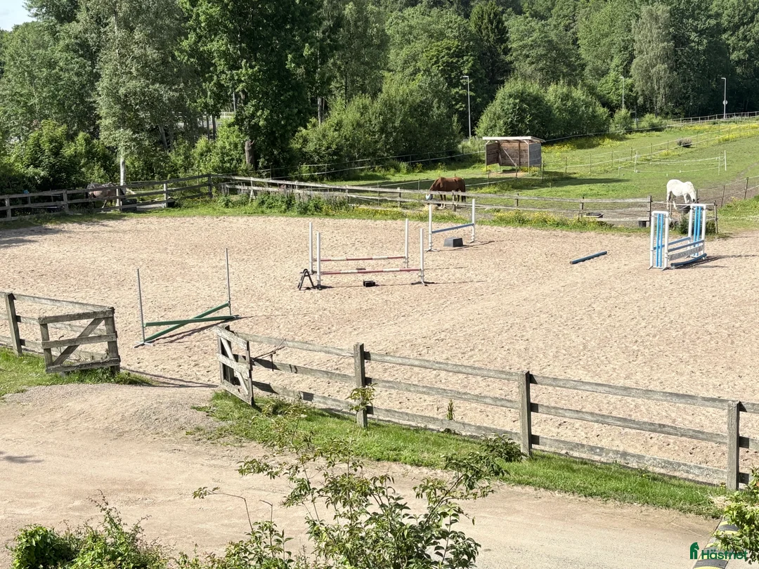  stallplats finnes: Ledig stallplats i litet mysigt stall  - Annons 2