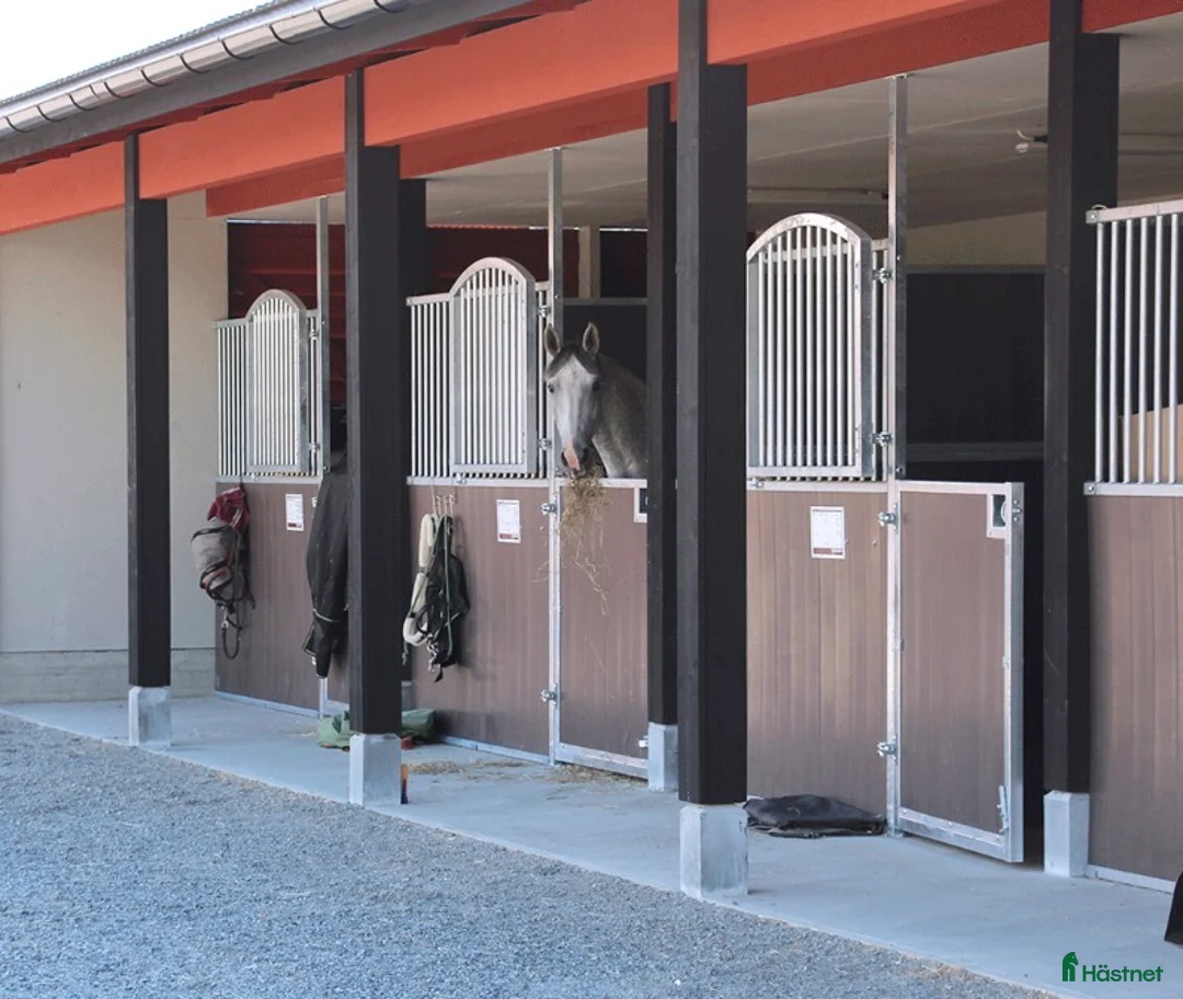  hästjobb finnes: Stallpersonal till toppmodern ridanläggning.   - Annons 2