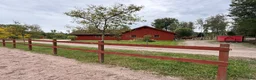 Allround hästar sökes: Sto till livslångt femstjärnigt hem! i Nyköping - Annons 7