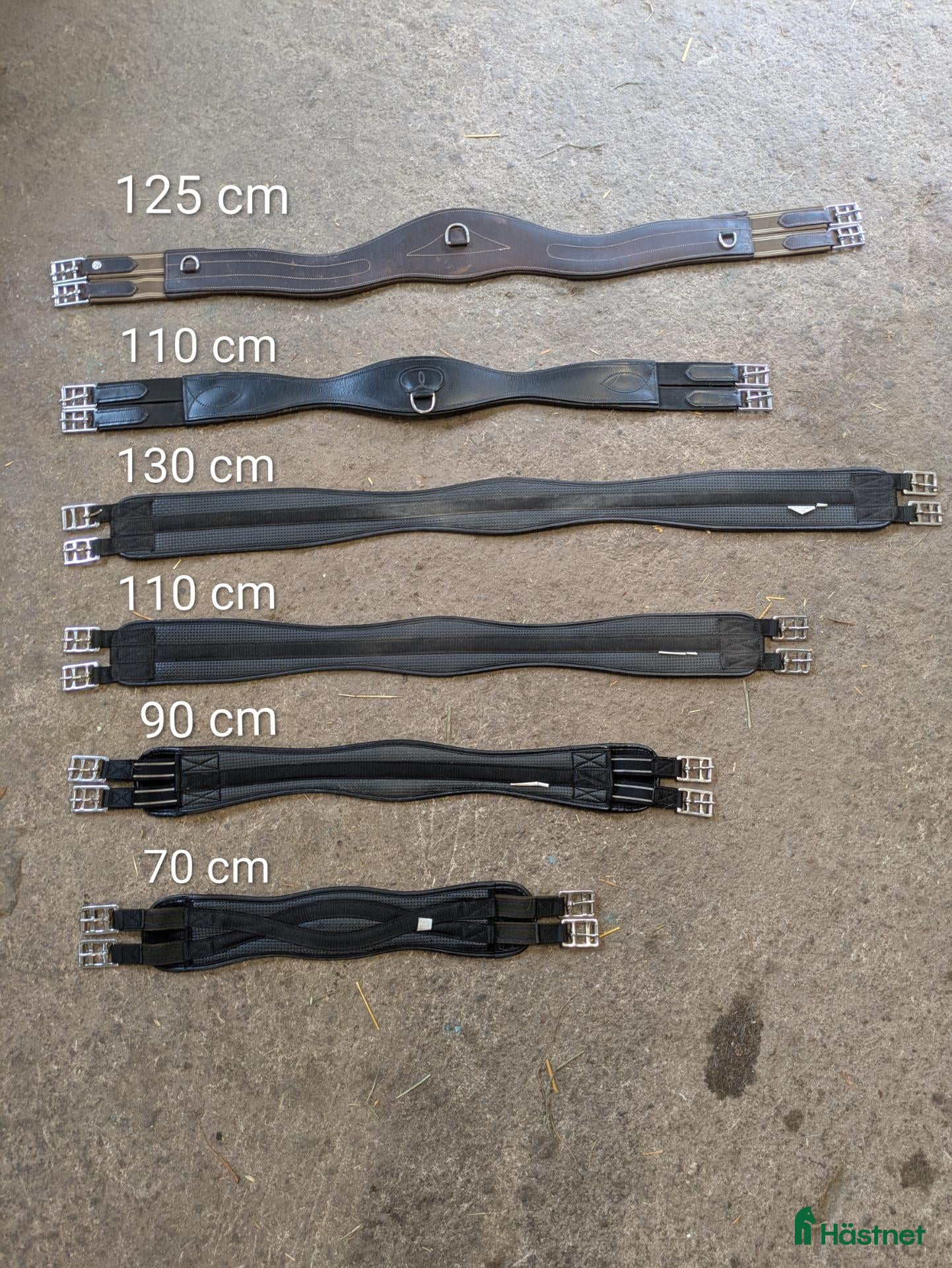 Sadeltillbehör hästutrustning Sadelgjordar 70–130 cm – flera storlekar - Annons 17