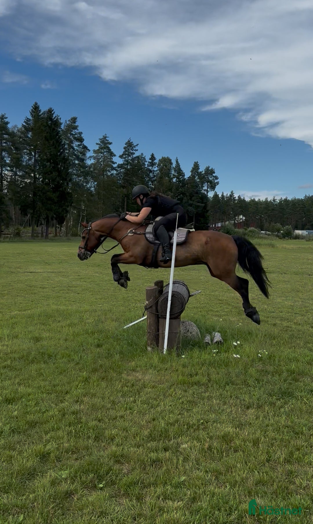 Galleribild {{count}}