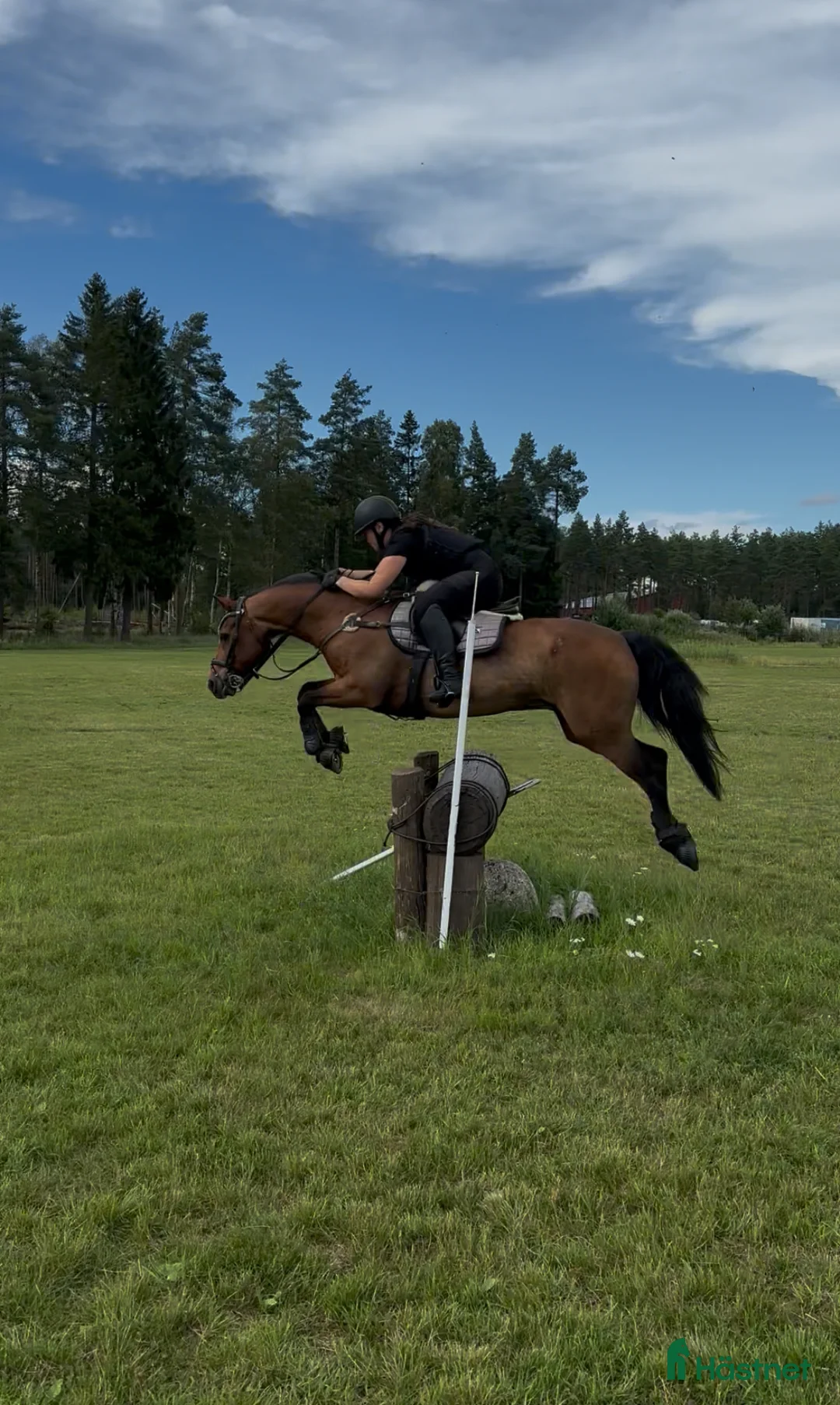 Galleribild {{count}}