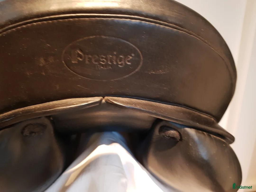 Sadlar hästutrustning till salu: Mkt fin Prestige Roma dressyrsadel! i Kungsbacka - Annons 4