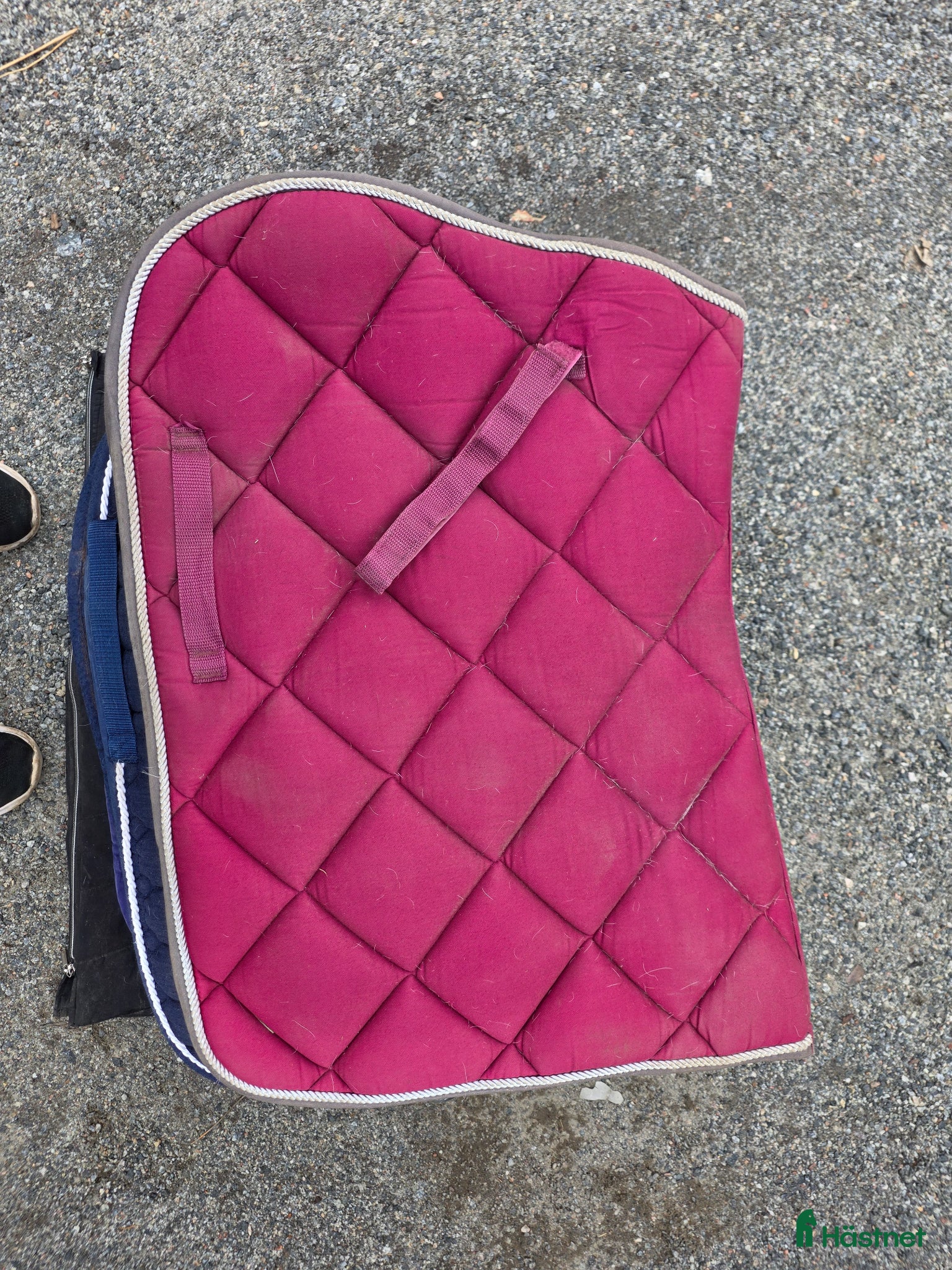 Schabrak & Vojlockar hästutrustning Begagnade Schabrak säljes - Annons 2