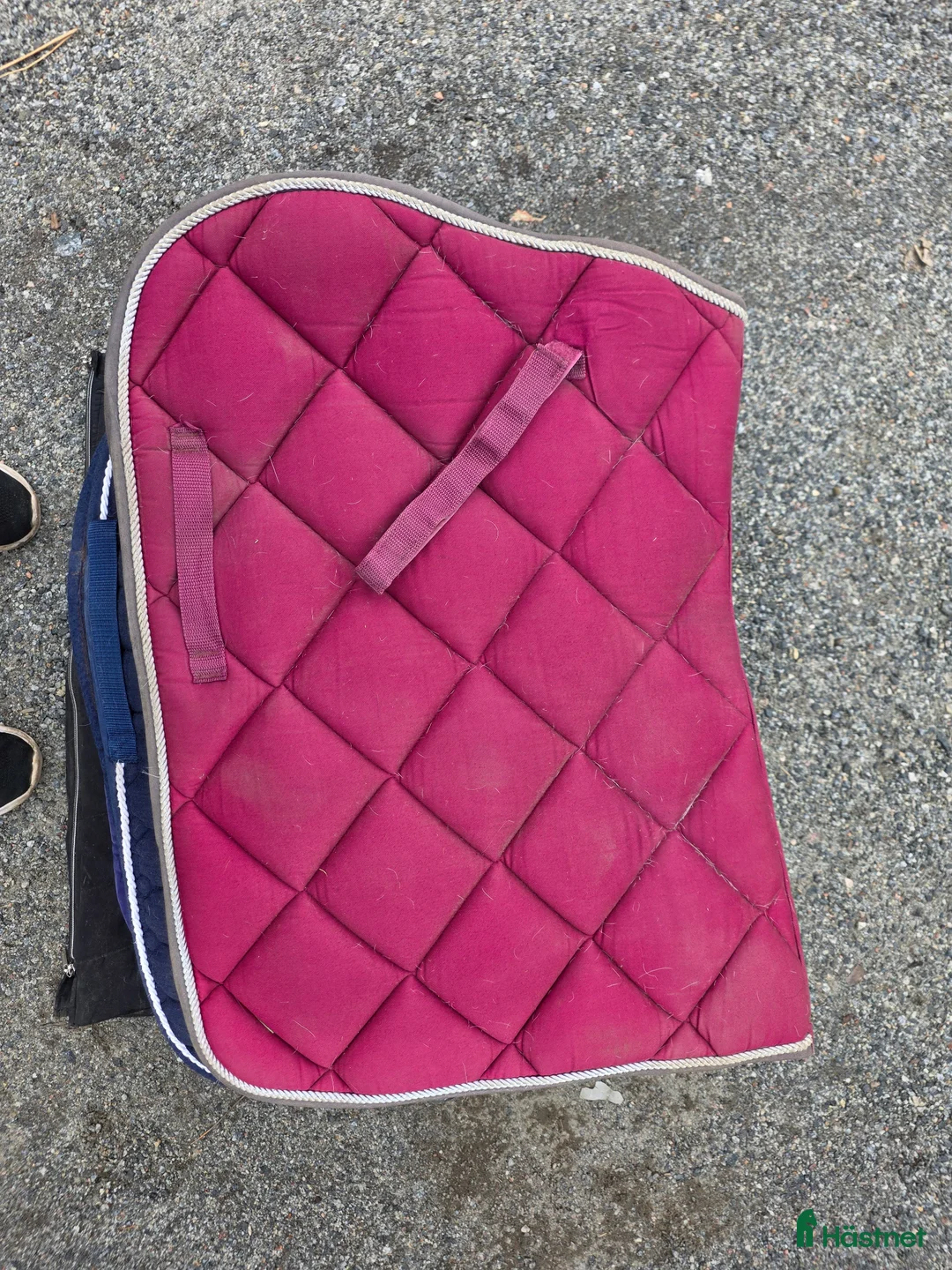 Schabrak & Vojlockar hästutrustning till salu: Begagnade Schabrak säljes - Annons 1