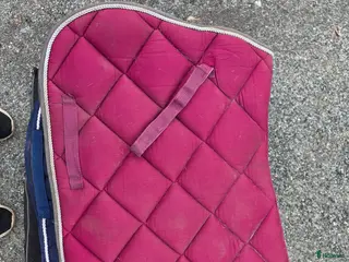 Schabrak & Vojlockar hästutrustning Begagnade Schabrak säljes - Annons 5