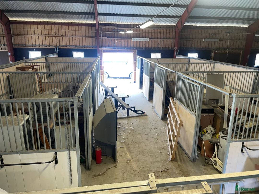 Övrig Hästutrustning hästutrustning till salu: uteboxen 49 boxar säljes i Sorunda - Annons 2