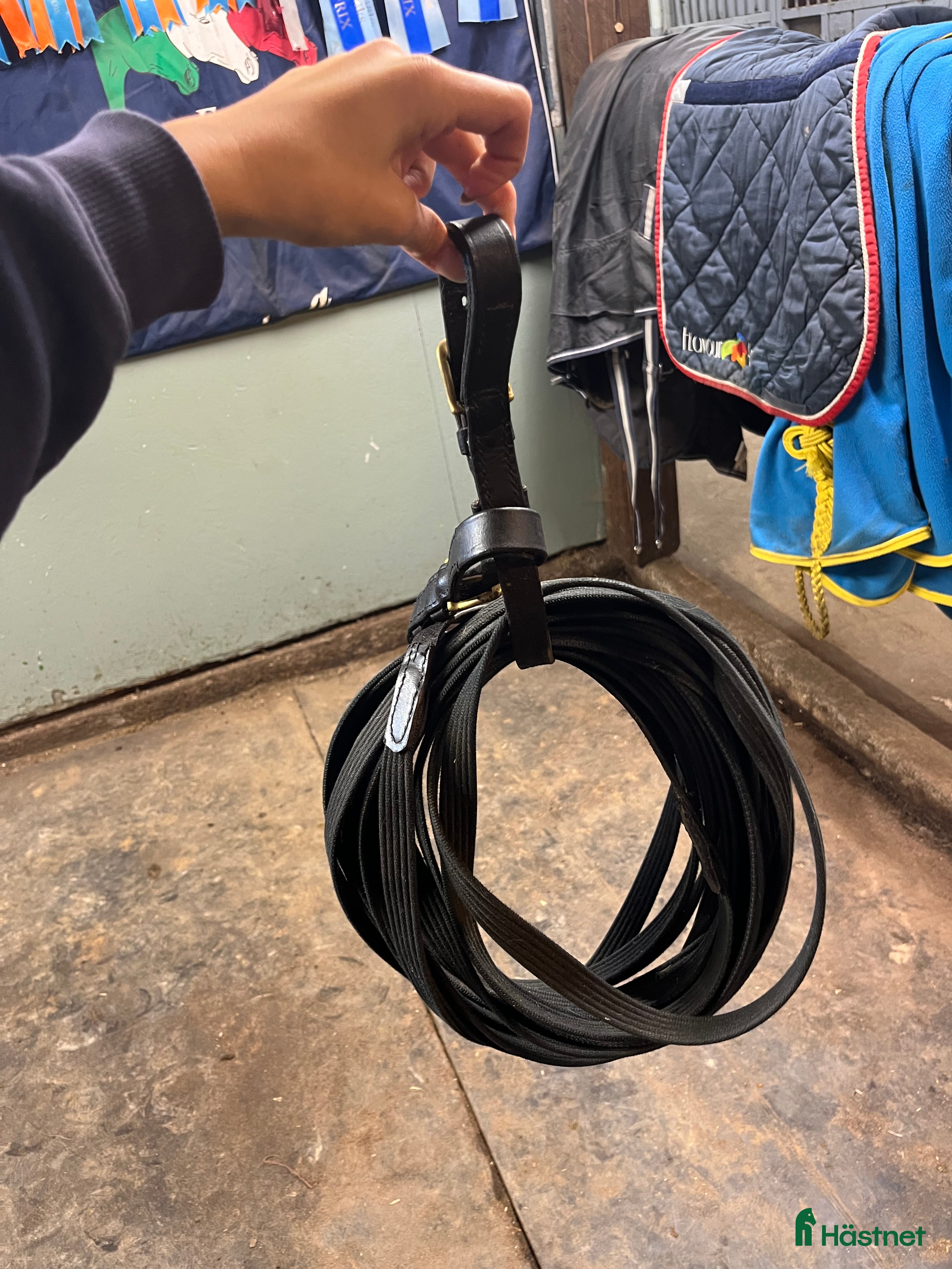 Övrig Hästutrustning hästutrustning till salu: Tömmar  i Norrköping - Annons 10