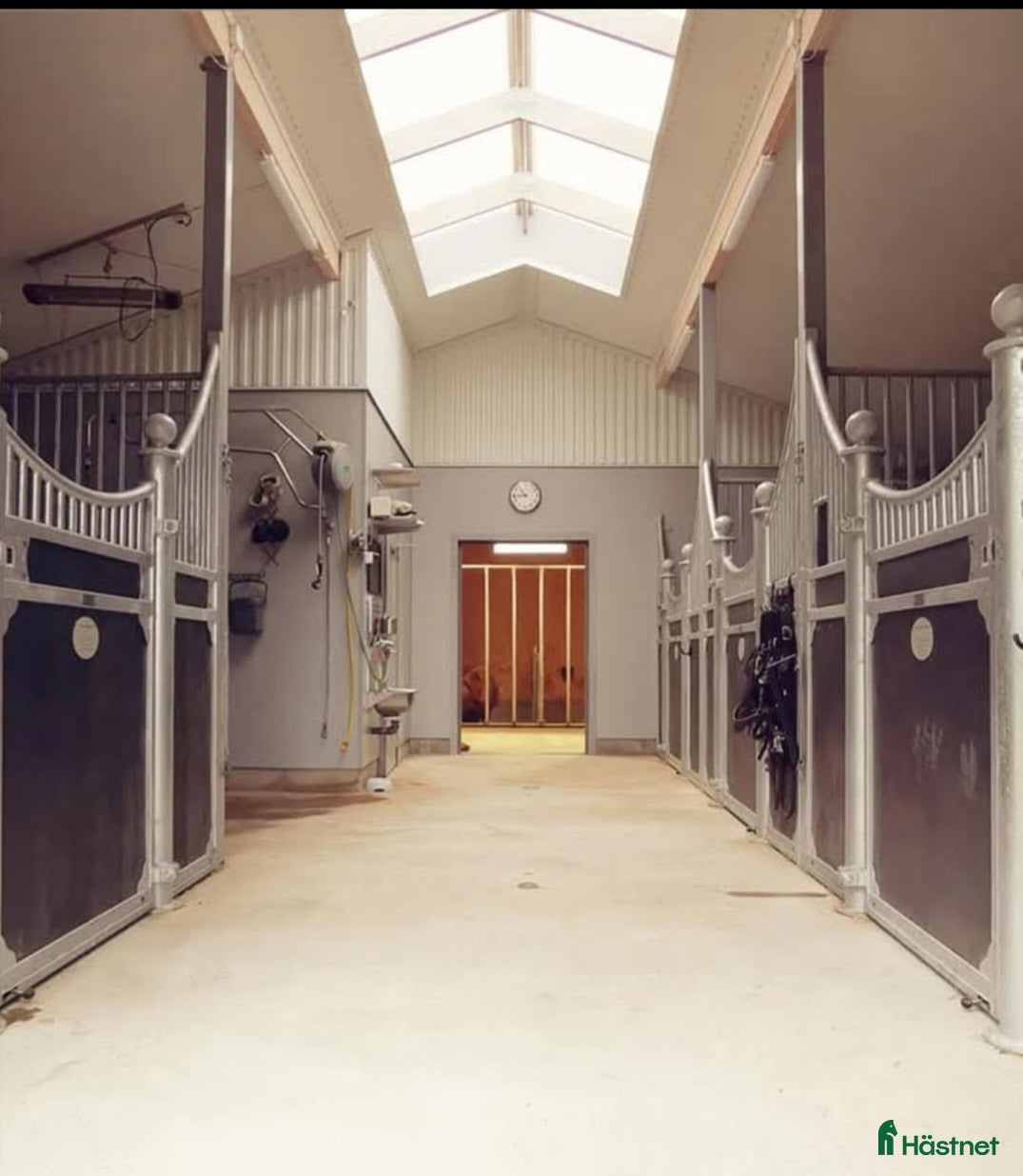  stallplats Plats på lösdrift för Islandshäst i Töreboda - Annons 22