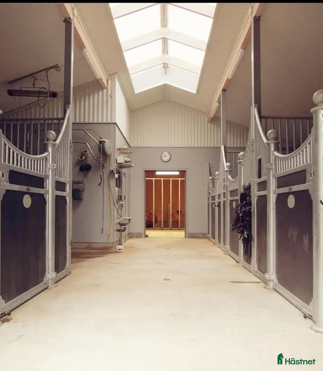  stallplats finnes: Plats på lösdrift för Islandshäst i Töreboda - Annons 1