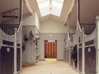 stallplats Plats på lösdrift för Islandshäst i Töreboda - Annons 18