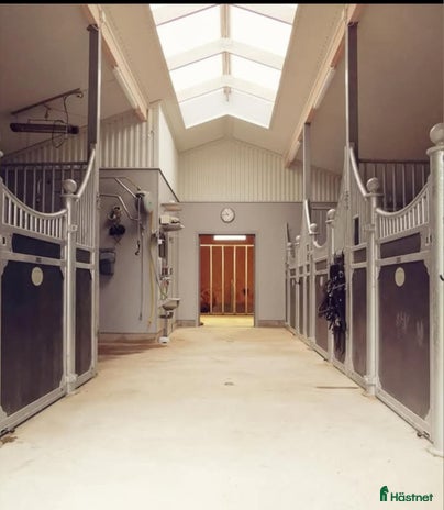 stallplats Plats på lösdrift för Islandshäst i Töreboda - Annons 3