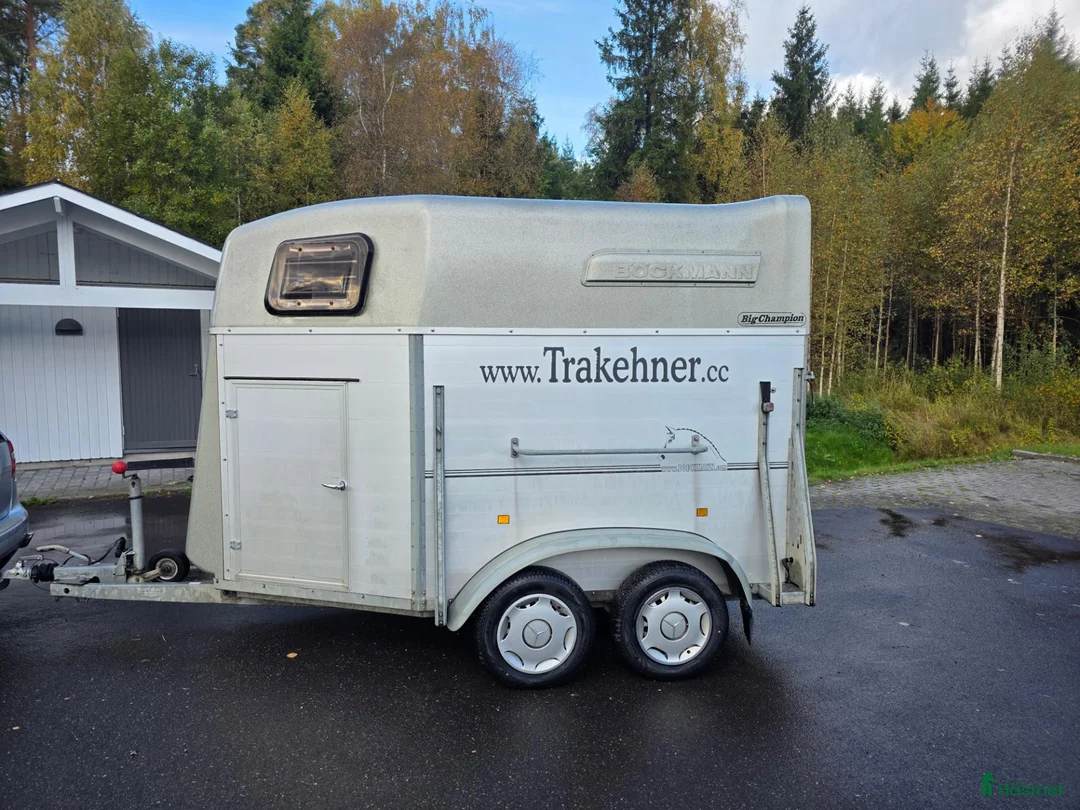 Hästtransporter  fordon & transport till salu: Hästtransporter Böckmann Big Champion i Värnamo - Annons 1