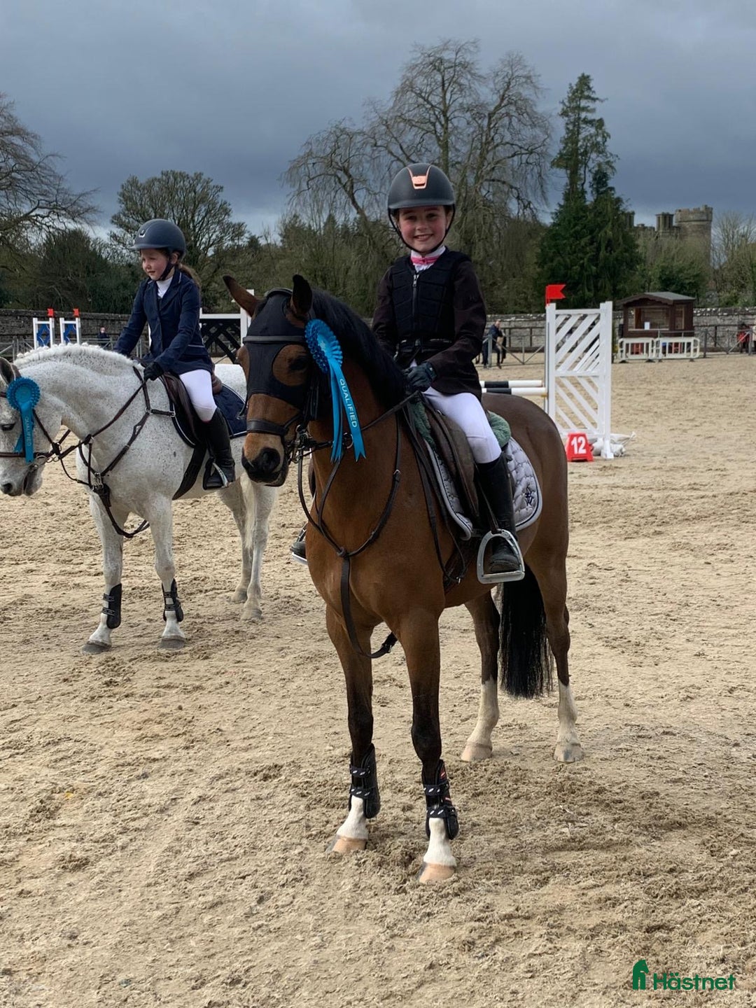 Hoppning hästar till salu: Top 128 pony, record to 1m!!!  i Stockholm - Bild 7