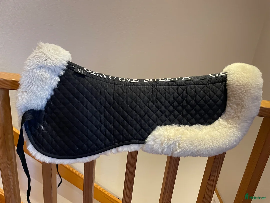 Sadeltillbehör hästutrustning till salu: Lammulls-pad - Annons 1