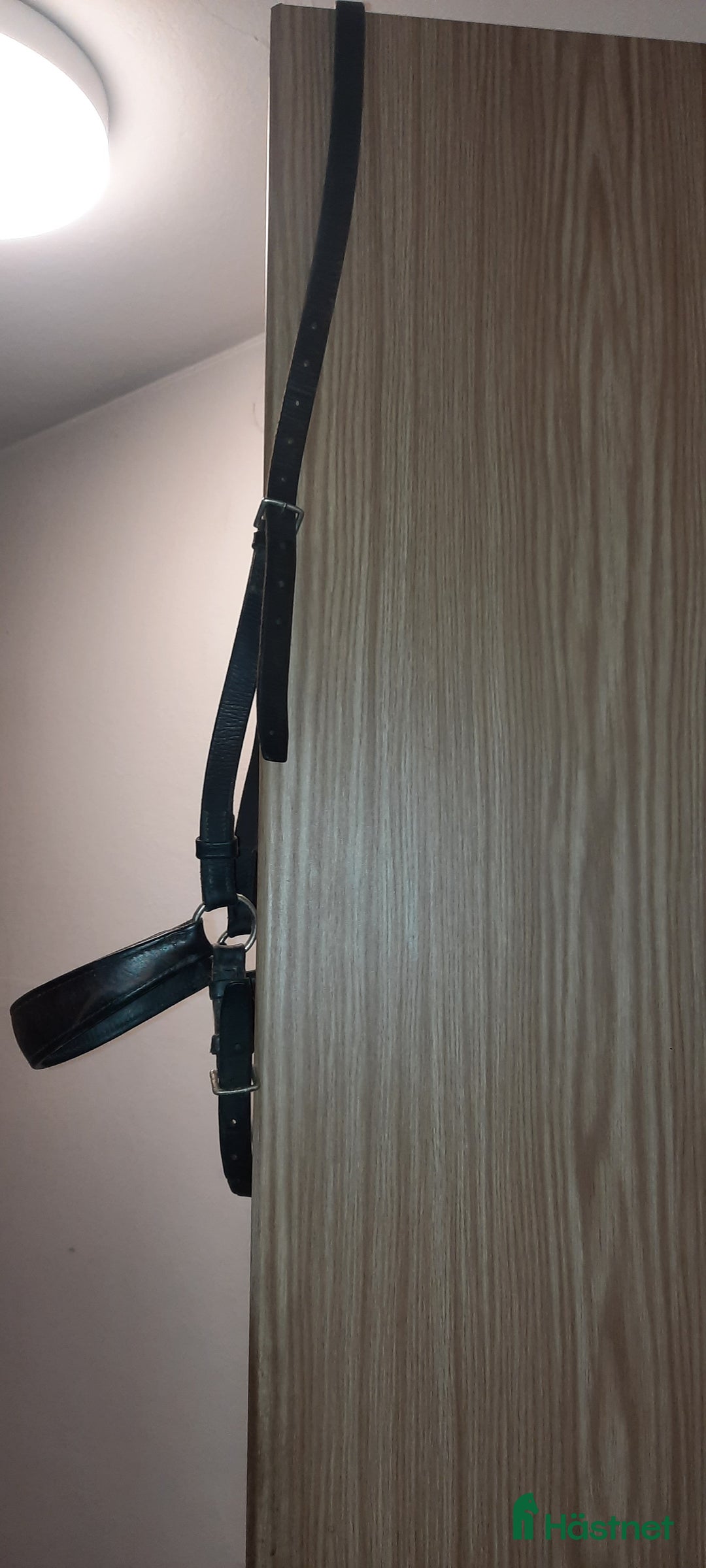 Träns hästutrustning till salu: Remont nosgrimma  i Borås - Annons 1