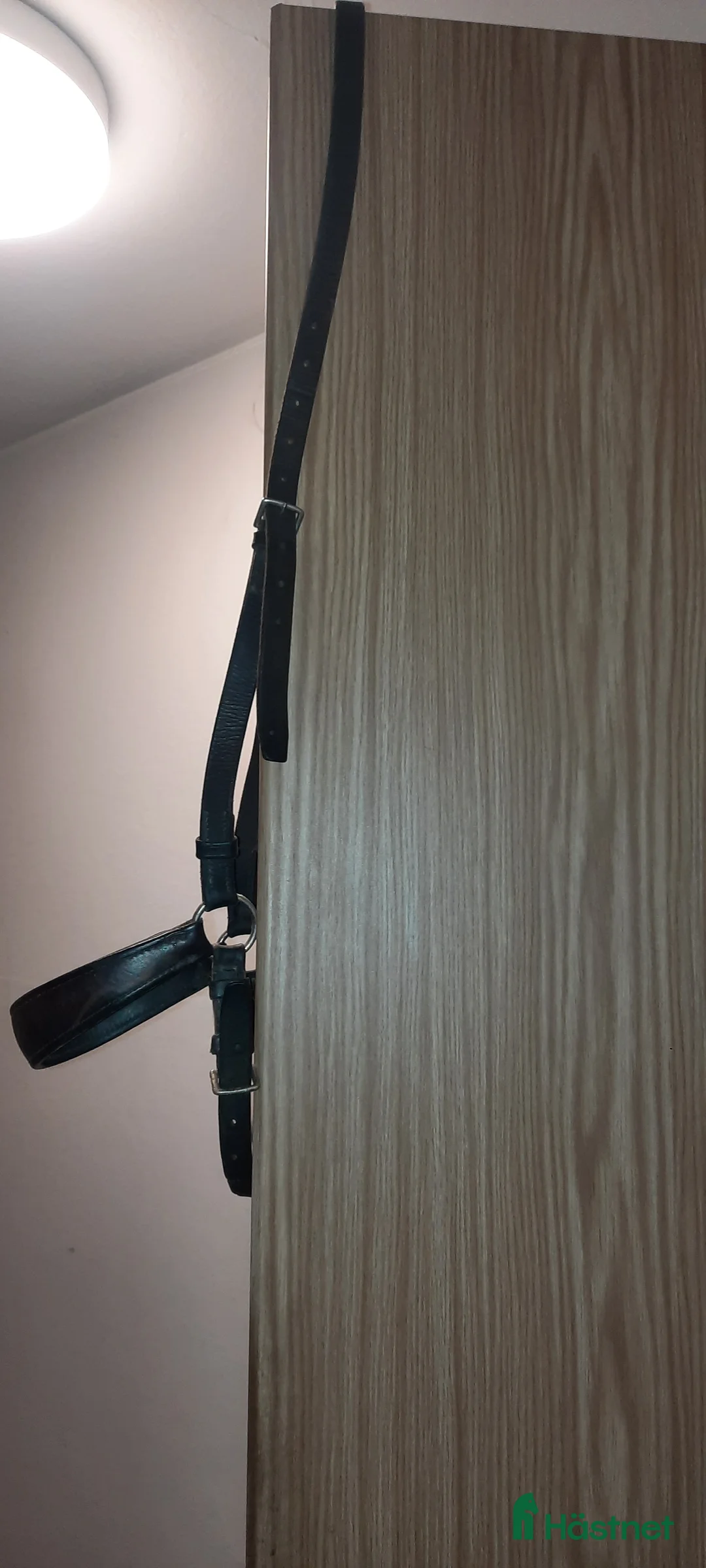 Träns hästutrustning till salu: Remont nosgrimma  i Borås - Annons 1