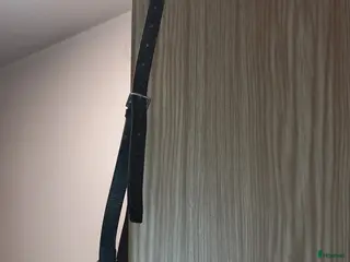 Träns hästutrustning till salu: Remont nosgrimma i Borås - Annons 2