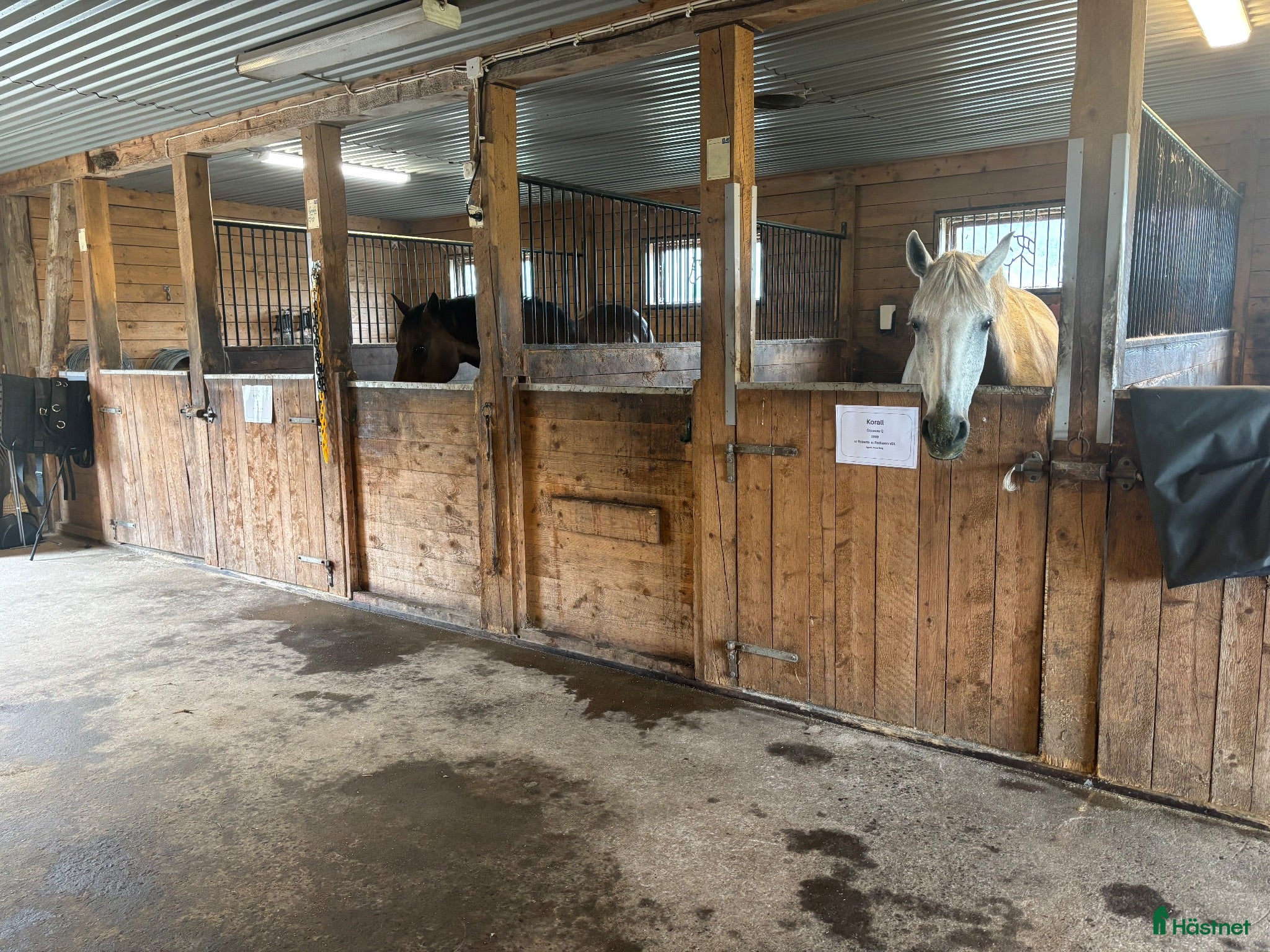  stallplats Lösdrift - Annons 11