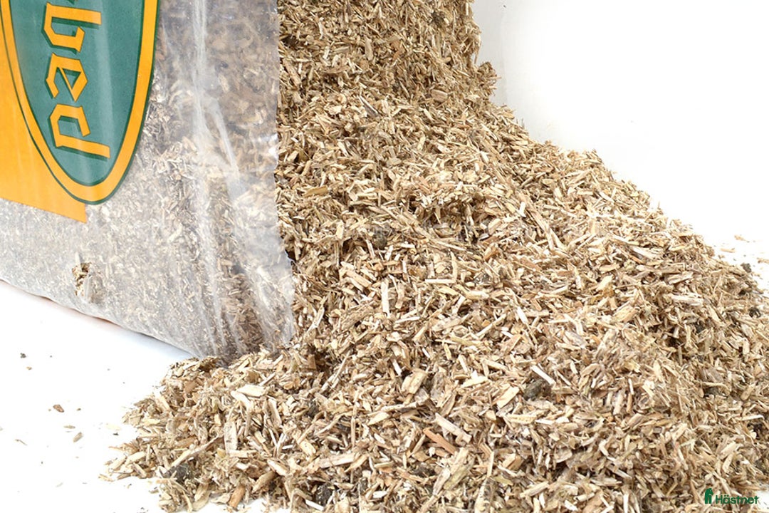  hästservice finnes: Hampaströ förs stall & Lösdrift i Vagnhärad - Annons 1