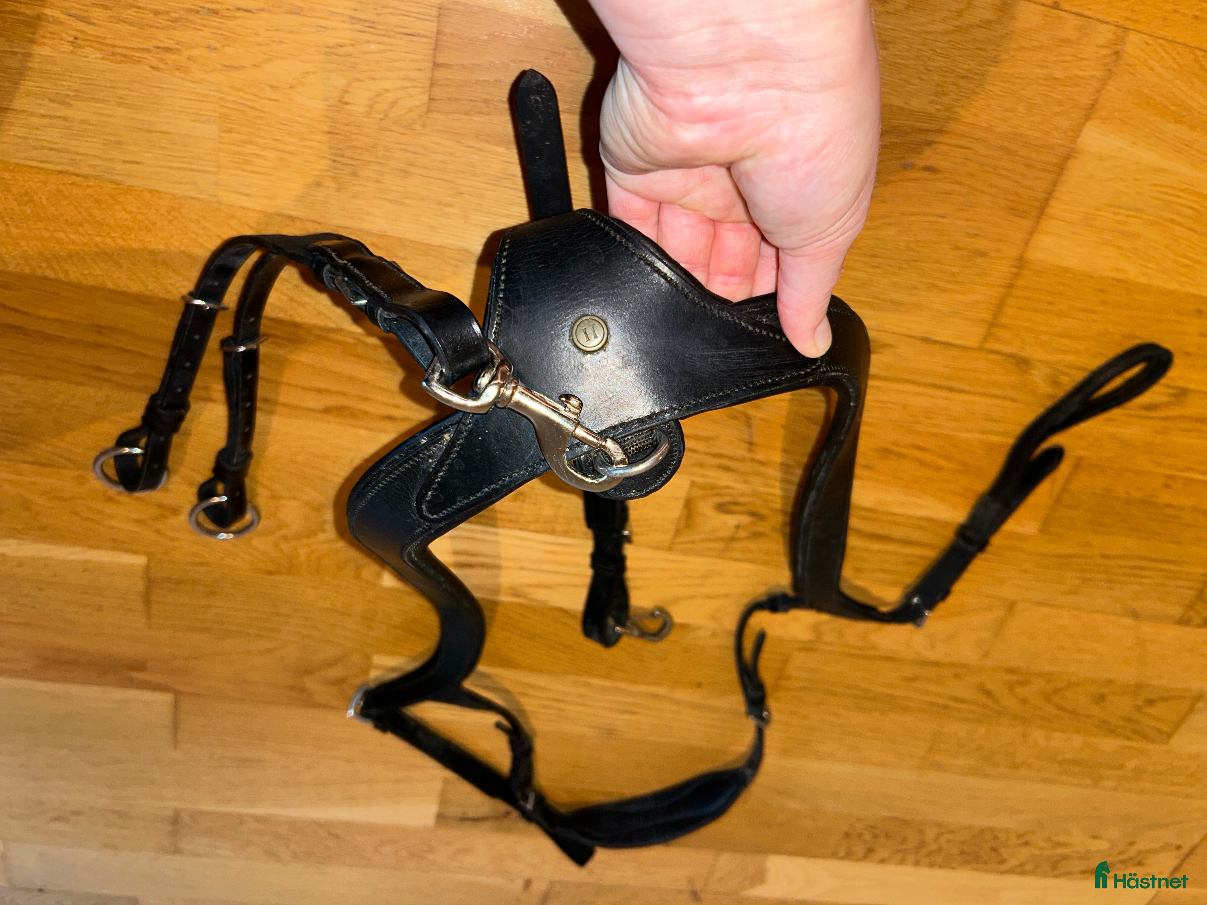Övrig Hästutrustning hästutrustning till salu: Svart JH förbygel/Martingal, cob  i Värmdö - Annons 17
