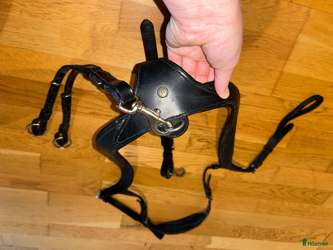 Övrig Hästutrustning hästutrustning till salu: Svart JH förbygel/Martingal, cob  i Värmdö - Annons 1