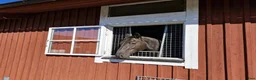 stallplats finnes: Österhaninge stallplats  - Annons 1