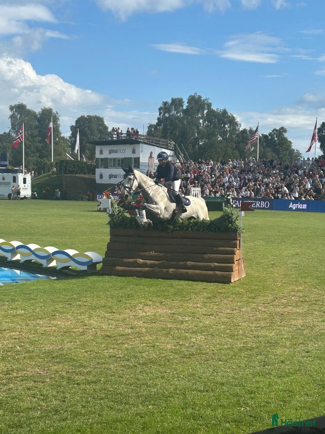 Dressyr hästar till salu: Terrängmaskin - Annons 3